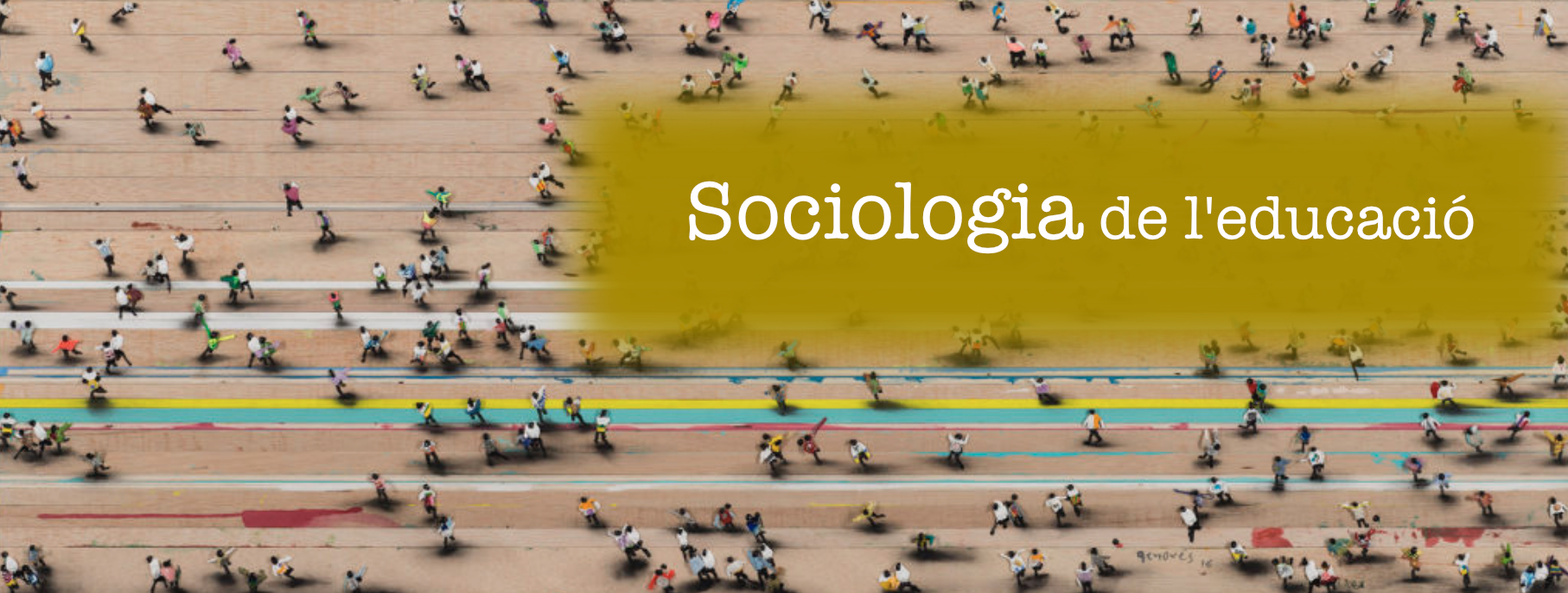 Sociologia i economia de l'educació (3101G05022/2020)